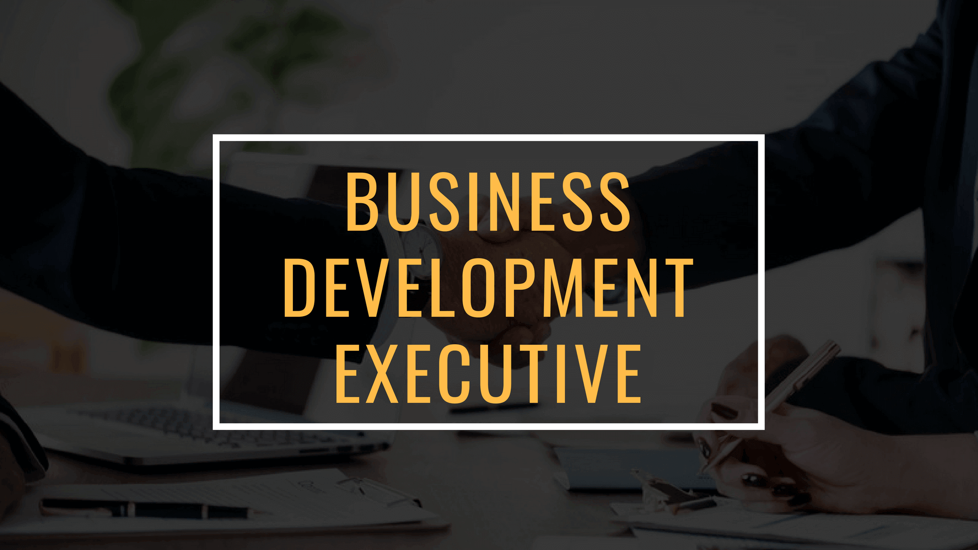 Business development executive là gì? 1
